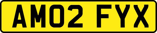 AM02FYX