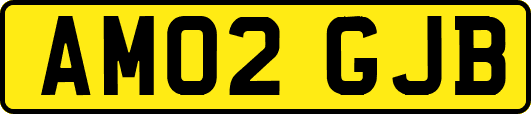 AM02GJB