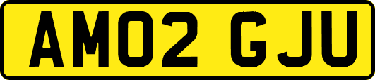 AM02GJU