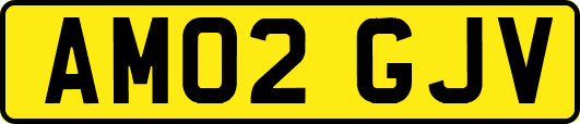AM02GJV
