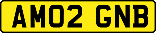 AM02GNB