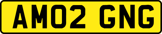 AM02GNG