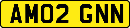 AM02GNN