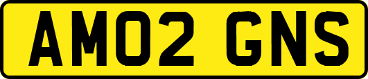 AM02GNS