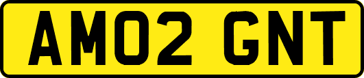 AM02GNT