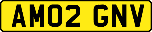 AM02GNV