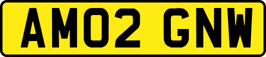 AM02GNW