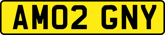 AM02GNY