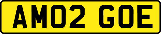 AM02GOE