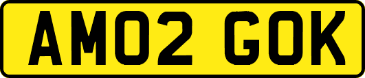 AM02GOK