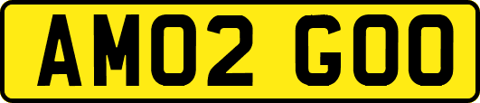 AM02GOO