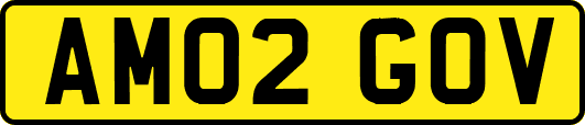 AM02GOV