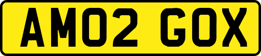 AM02GOX