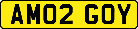 AM02GOY