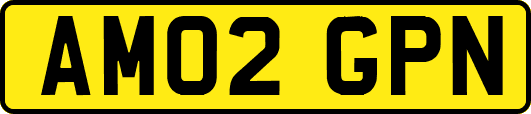 AM02GPN