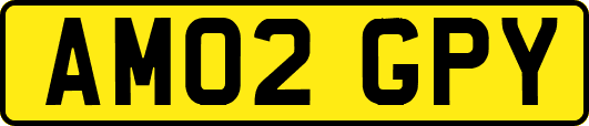 AM02GPY