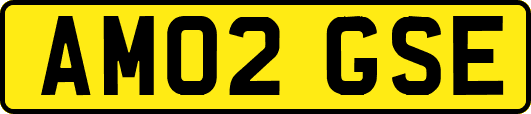 AM02GSE