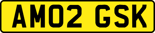 AM02GSK