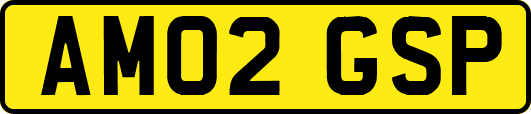 AM02GSP