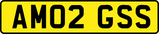 AM02GSS