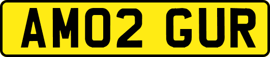 AM02GUR
