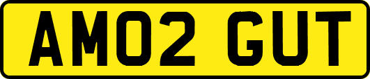 AM02GUT