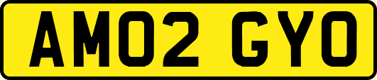 AM02GYO