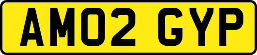 AM02GYP