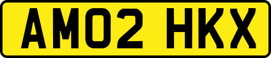 AM02HKX