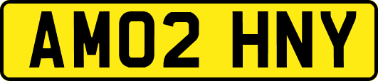 AM02HNY