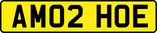 AM02HOE
