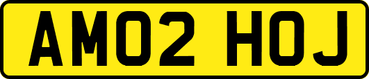 AM02HOJ