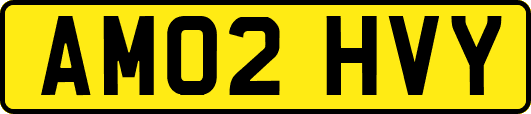 AM02HVY