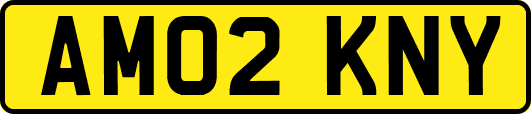 AM02KNY