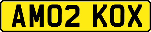 AM02KOX