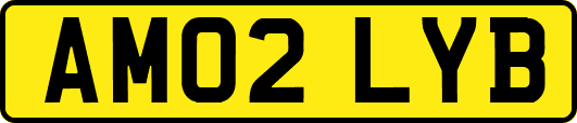 AM02LYB