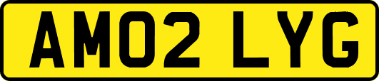 AM02LYG
