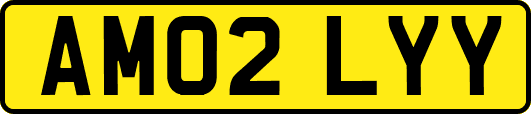 AM02LYY
