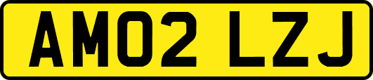 AM02LZJ
