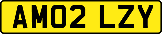 AM02LZY