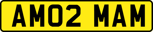 AM02MAM