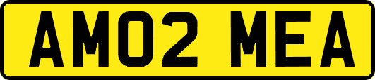 AM02MEA