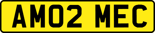 AM02MEC