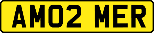 AM02MER