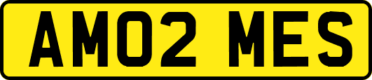 AM02MES