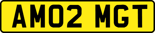AM02MGT