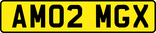 AM02MGX