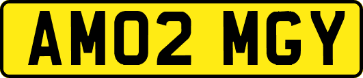 AM02MGY