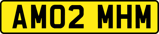 AM02MHM