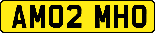 AM02MHO